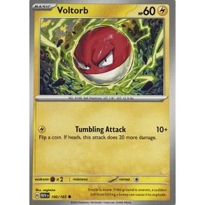 Voltorb 100/165