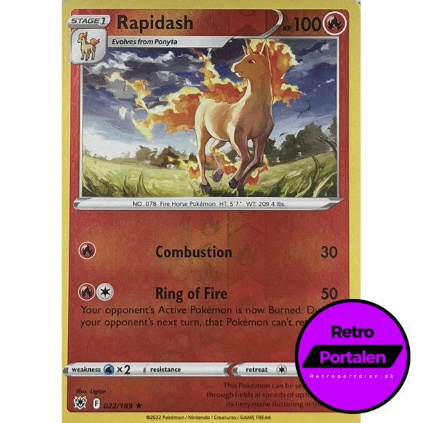 Rapidash 022-189