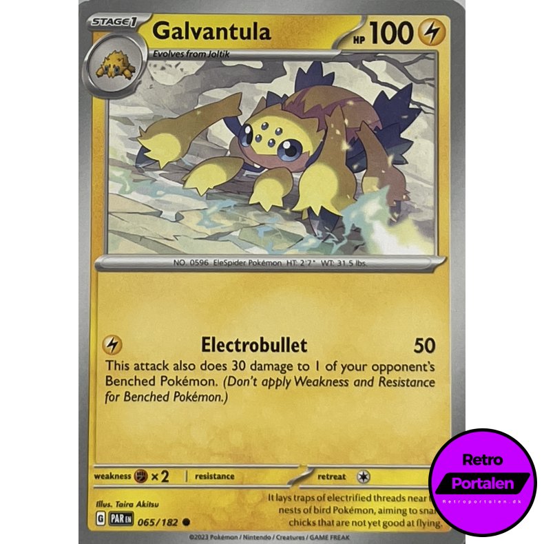 Galvantula 065-182