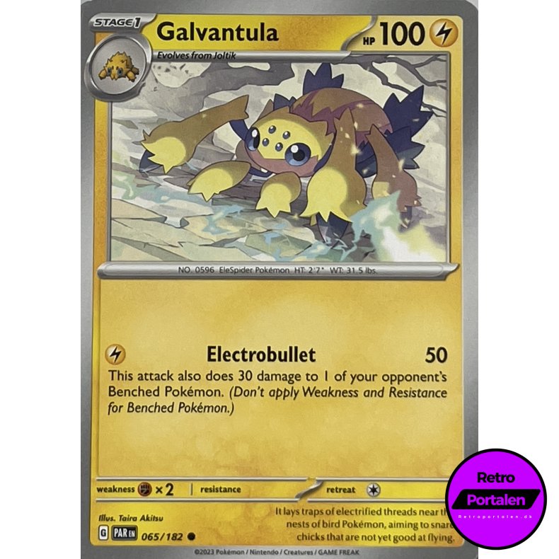Galvantula 065-182