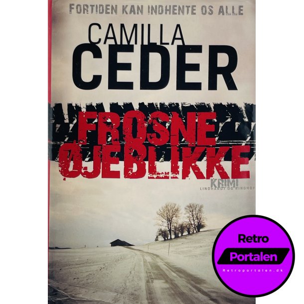 Frosne jeblikke - Camilla Ceder (Dansk)