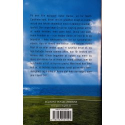 Sandhedens Smerte Af Diane Chamberlain (Bog Er P� Dansk)