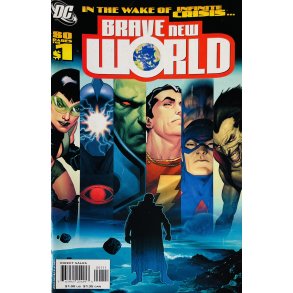 In The Wake Of Infinite Crisis: Brave New World (Engelsk) (DC Comics) (Tegneserie)
