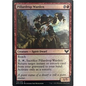 Pillardrop Warden