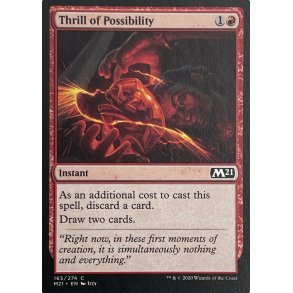 Thrill Of Possibility