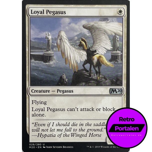 Loyal Pegasus