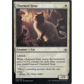Charmed Stray