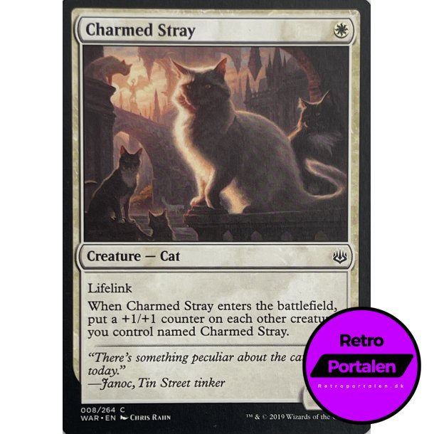 Charmed Stray