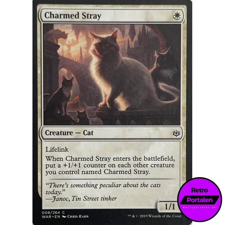 Charmed Stray