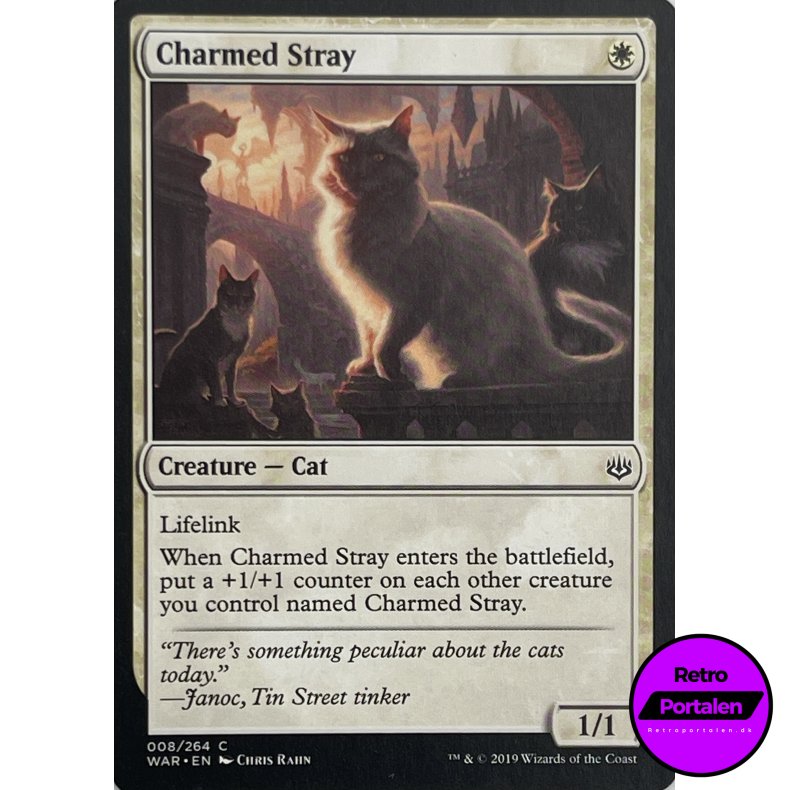 Charmed Stray