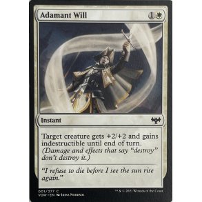 Adamant Will