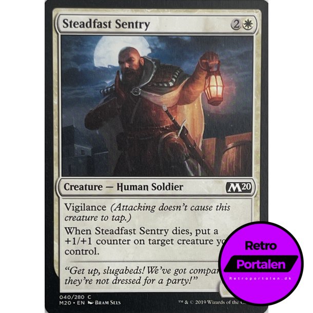 Steadfast Sentry