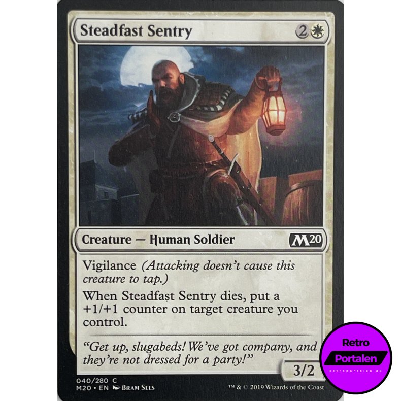 Steadfast Sentry