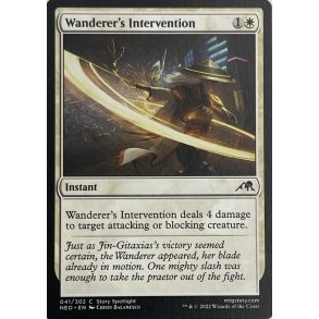 Wanderers Intervention