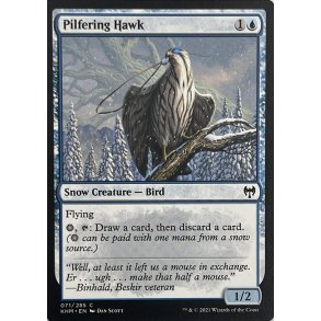 Pilfering Hawk