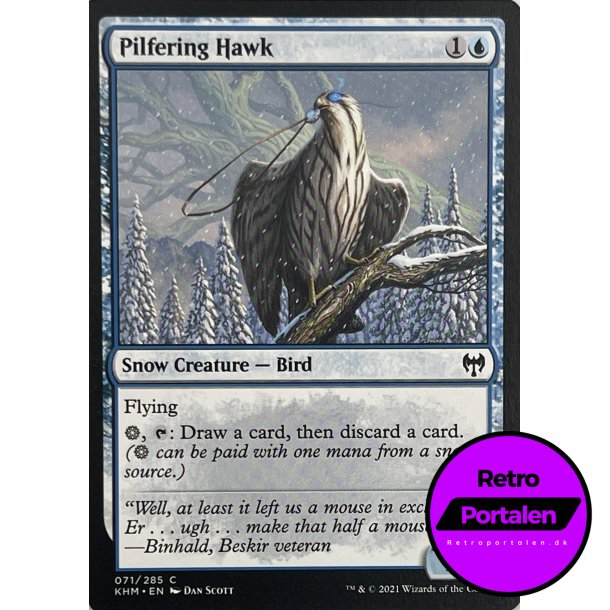 Pilfering Hawk