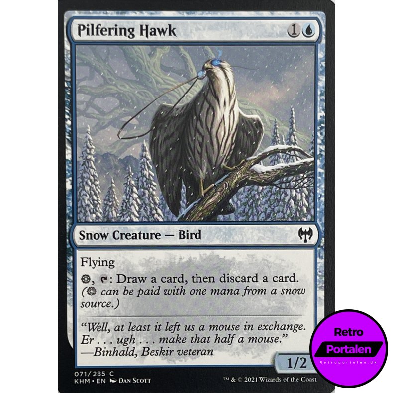 Pilfering Hawk