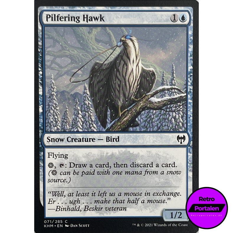 Pilfering Hawk