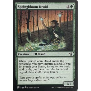 Springbloom Druid