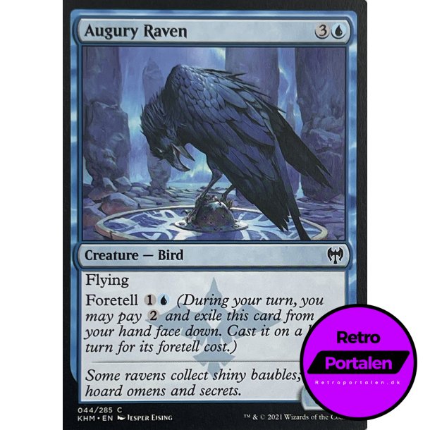 Augury Raven