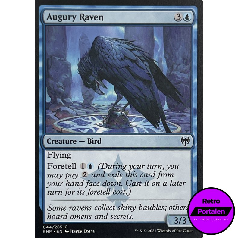 Augury Raven