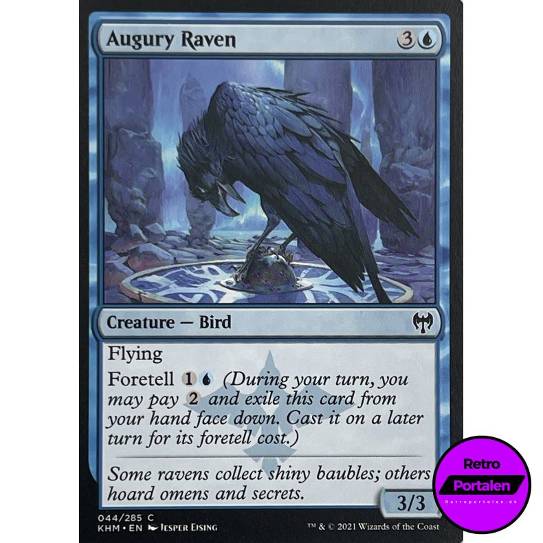 Augury Raven