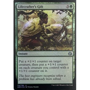 Lifecrafters Gift