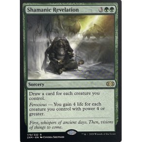 Shamanic Revelation