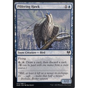 Pilfering Hawk