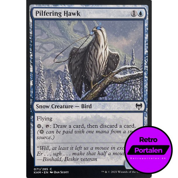 Pilfering Hawk