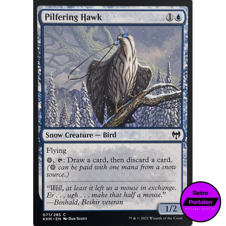 Pilfering Hawk