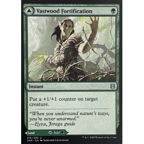 Vastwood Fortification