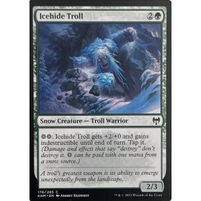 Icehide Troll