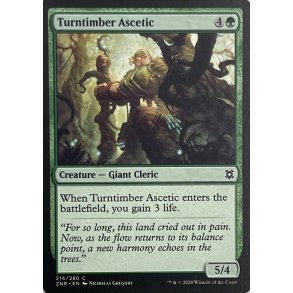 Turntimber Ascetic