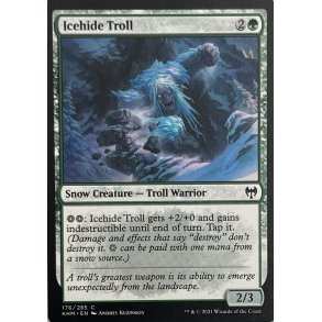 Icehide Troll