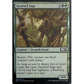 Gnarled Sage