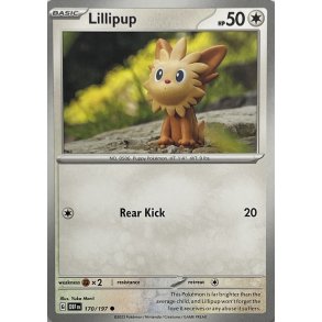 Lillipup