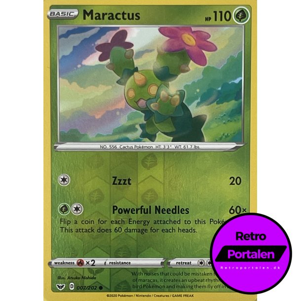 Maractus