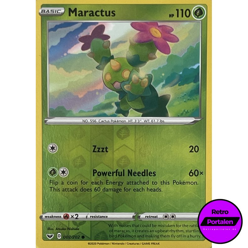 Maractus